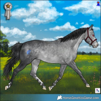 Horse Color:Brown Chinchilla