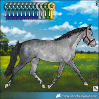 Horse Color:Brown Chinchilla