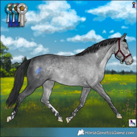Horse Color:Brown Chinchilla