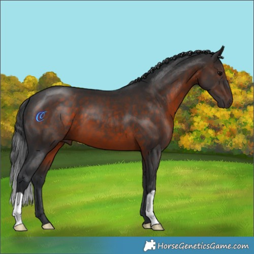 Horse Color:Brown 