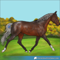 Horse Color:Silver Brown 