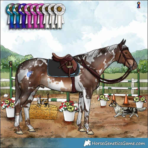 Horse Color:White Spotted Liver Chestnut Tobiano 