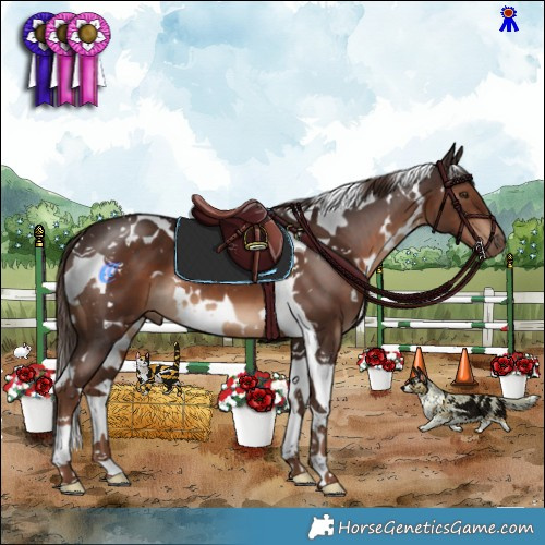 Horse Color:White Spotted Liver Chestnut Tobiano 