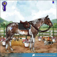Horse Color:White Spotted Liver Chestnut Tobiano 