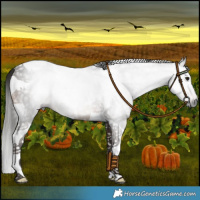 Horse Color:Gray White Spotted Bay Tobiano