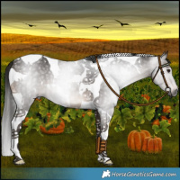 Horse Color:Gray White Spotted Bay Tobiano 
