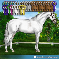 Horse Color:Gray White Spotted Bay Tobiano Rabicano 