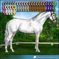 Horse Color:Gray White Spotted Bay Tobiano Rabicano
