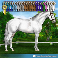 Horse Color:Gray White Spotted Bay Tobiano Rabicano