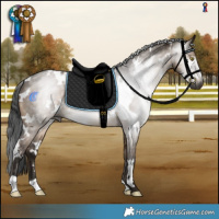 Horse Color:Gray White Spotted Brown Dun 