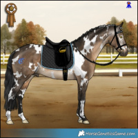 Horse Color:Gray White Spotted Brown Dun