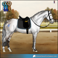 Horse Color:Gray White Spotted Brown Dun