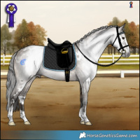 Horse Color:Gray White Spotted Brown Dun Varnish 