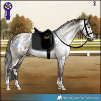 Horse Color:Gray White Spotted Brown Dun Appaloosa 