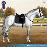 Horse Color:Gray White Spotted Brown Dun Appaloosa 