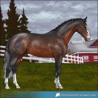 Horse Color:Brown 