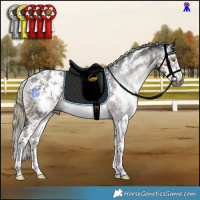 Horse Color:Gray Liver Chestnut Mushroom Sabino Rabicano 