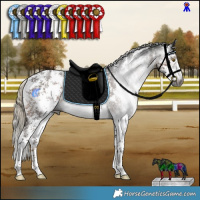 Horse Color:Gray Liver Chestnut Mushroom Sabino Rabicano 