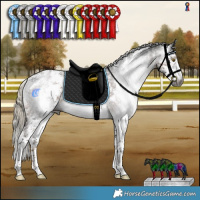 Horse Color:Gray Liver Chestnut Mushroom Sabino Rabicano