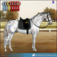 Horse Color:Gray Liver Chestnut Mushroom Sabino Rabicano