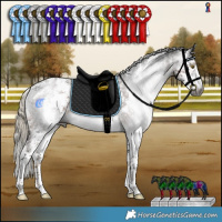 Horse Color:Gray Liver Chestnut Mushroom Sabino Rabicano 