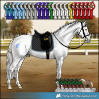 Horse Color:Gray Liver Chestnut Mushroom Sabino Rabicano