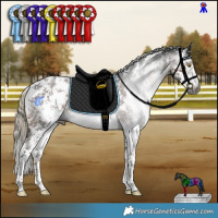 Horse Color:Gray Liver Chestnut Mushroom Sabino Rabicano