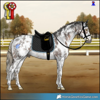 Horse Color:Gray Liver Chestnut Mushroom Sabino Rabicano