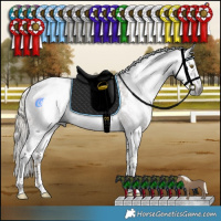Horse Color:Gray Liver Chestnut Mushroom Sabino Rabicano 