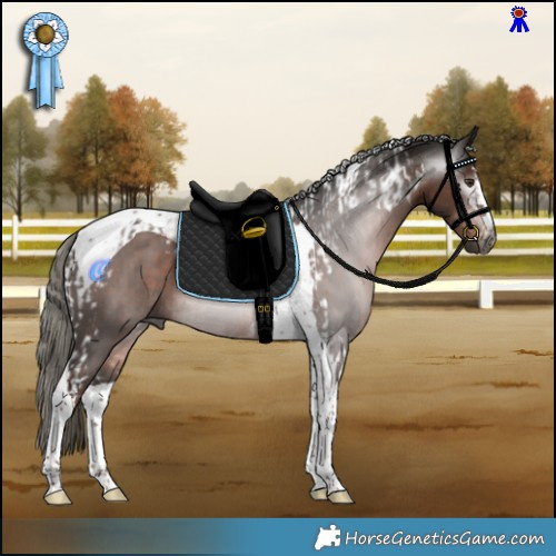 Horse Color:Gray Liver Chestnut Mushroom Tobiano and Liver Chestnut Mushroom Tobiano Rabicano