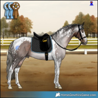 Horse Color:Gray Liver Chestnut Mushroom Tobiano  and Liver Chestnut Mushroom Tobiano Rabicano 