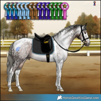 Horse Color:Gray Liver Chestnut Mushroom Tobiano and Liver Chestnut Mushroom Tobiano Rabicano