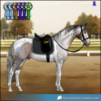 Horse Color:Gray Liver Chestnut Mushroom Tobiano and Liver Chestnut Mushroom Tobiano Rabicano