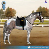 Horse Color:Gray Liver Chestnut Mushroom Tobiano and Liver Chestnut Mushroom Tobiano Rabicano