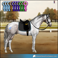 Horse Color:Gray Liver Chestnut Mushroom Tobiano  and Liver Chestnut Mushroom Tobiano Rabicano 