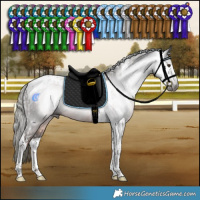 Horse Color:Gray Liver Chestnut Mushroom Tobiano and Liver Chestnut Mushroom Tobiano Rabicano