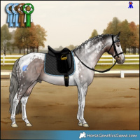 Horse Color:Gray Liver Chestnut Mushroom Tobiano and Liver Chestnut Mushroom Tobiano Rabicano