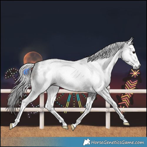 Horse Color:Gray Brown Sabino 