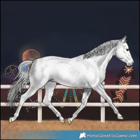 Horse Color:Gray Brown Sabino 