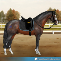 Horse Color:Brown 
