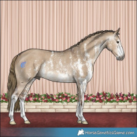 Horse Color:Gray Liver Red Dun Sabino Rabicano 