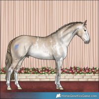 Horse Color:Gray Liver Red Dun Sabino Rabicano