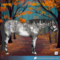 Horse Color:Grullo Sabino Rabicano