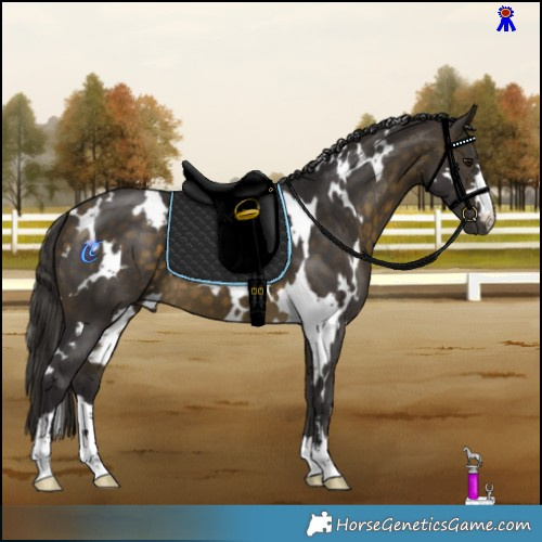 Horse Color:White Spotted Buckskin 