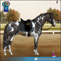 Horse Color:White Spotted Buckskin 