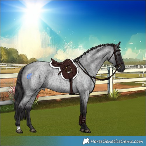 Horse Color:Smoky Blue Roan