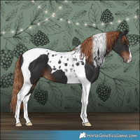Horse Color:Liver Chestnut Tobiano 