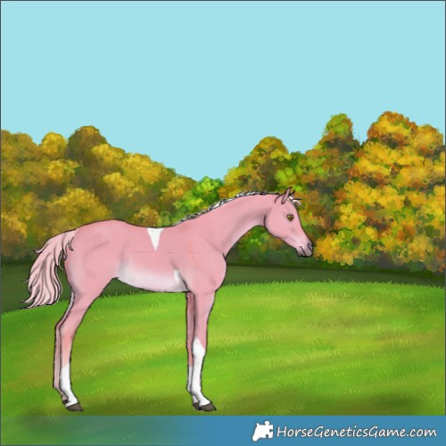 Horse Color:Watercolor Chocolate Palomino Dun Tobiano Rabicano 