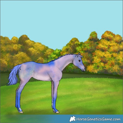 Horse Color:Watercolor Brown Dun Tobiano Rabicano 