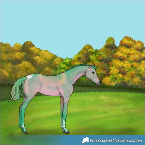Horse Color:Watercolor Brown Dun Tobiano Rabicano 